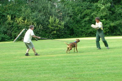 Zanel und der bse Helmut
