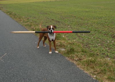 Zanel rumt auf Feb. 2008